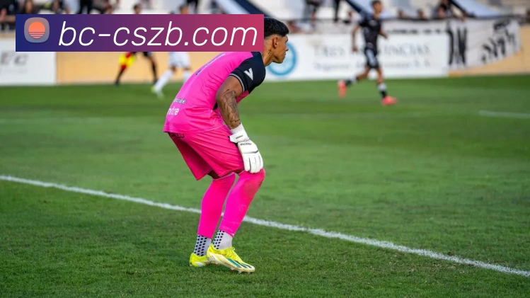 彩神争霸APP 封面图